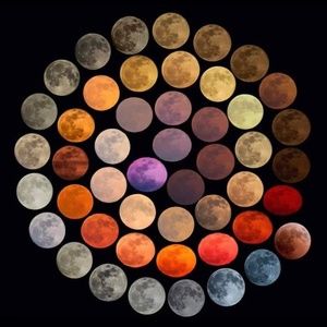 Meet your Posher, Jaime